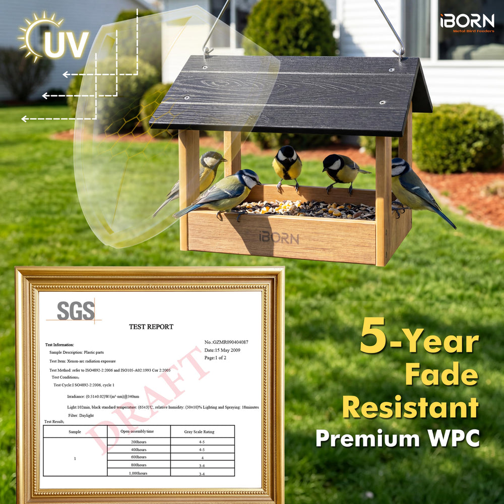 iBorn Pavilion scale next to hand showing size and easy handling for homeowners