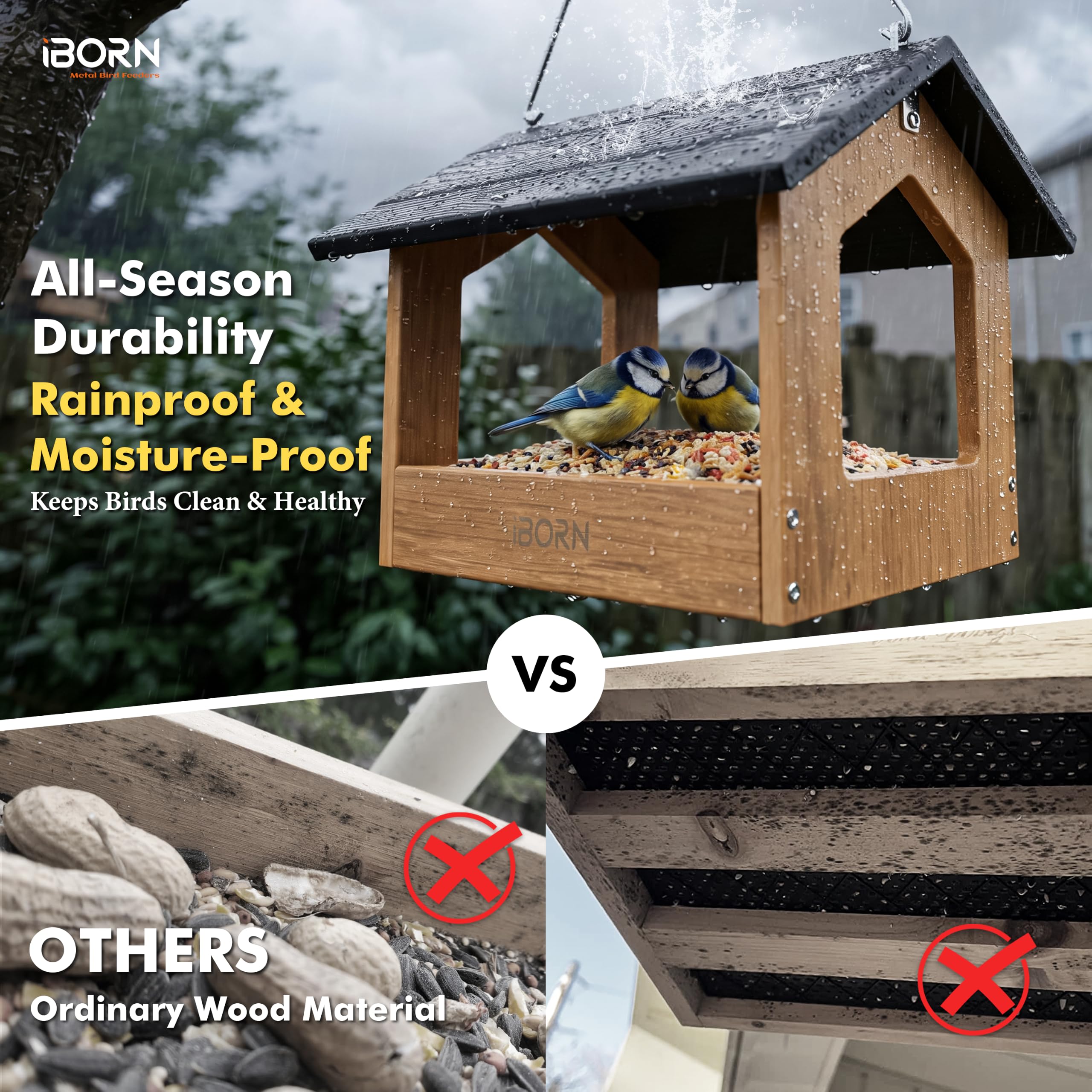 iBorn Pavilion seed on tray showing generous feeding area preserving seed quality