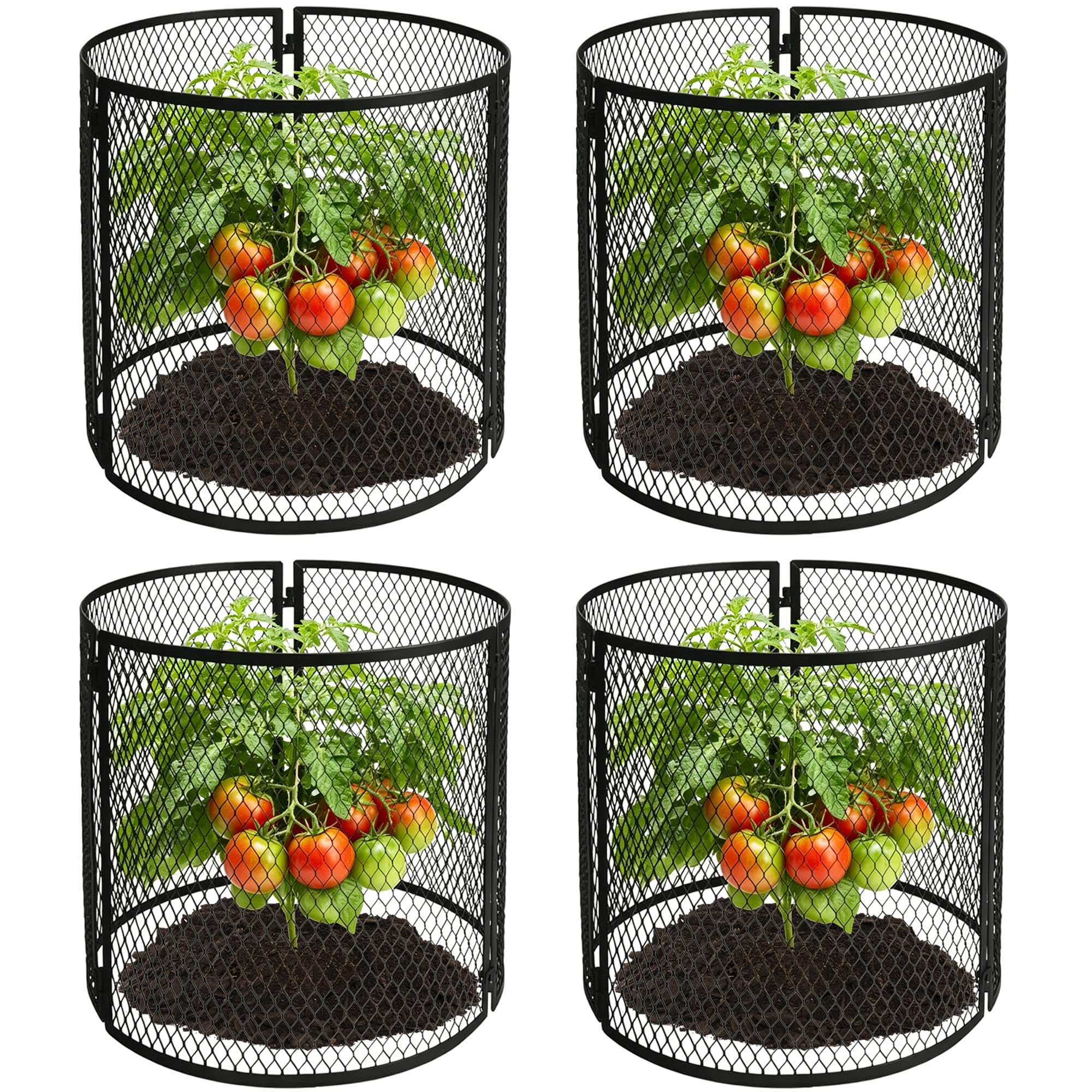 Iceyyyy 4-pack front view showing black metal plant cages protecting seedlings