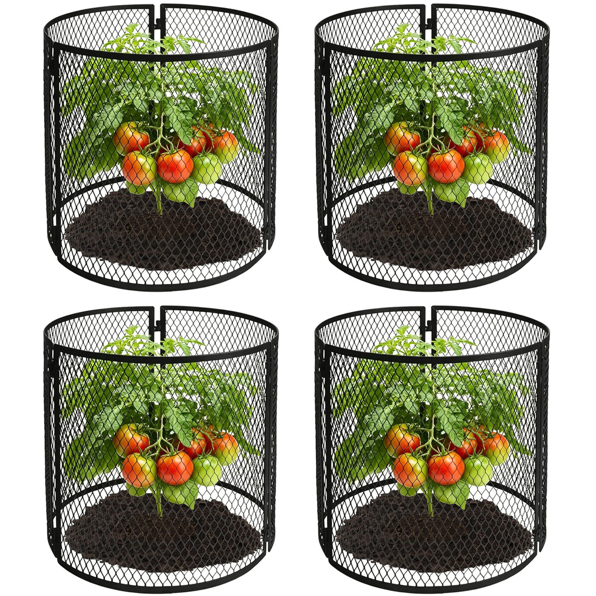 Iceyyyy 4-pack front view showing black metal plant cages protecting seedlings