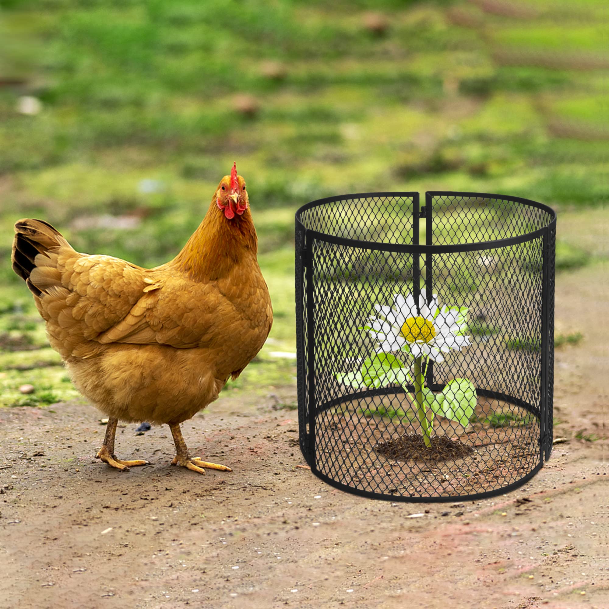 Iceyyyy cage used on patio container offering neat, modern garden protection