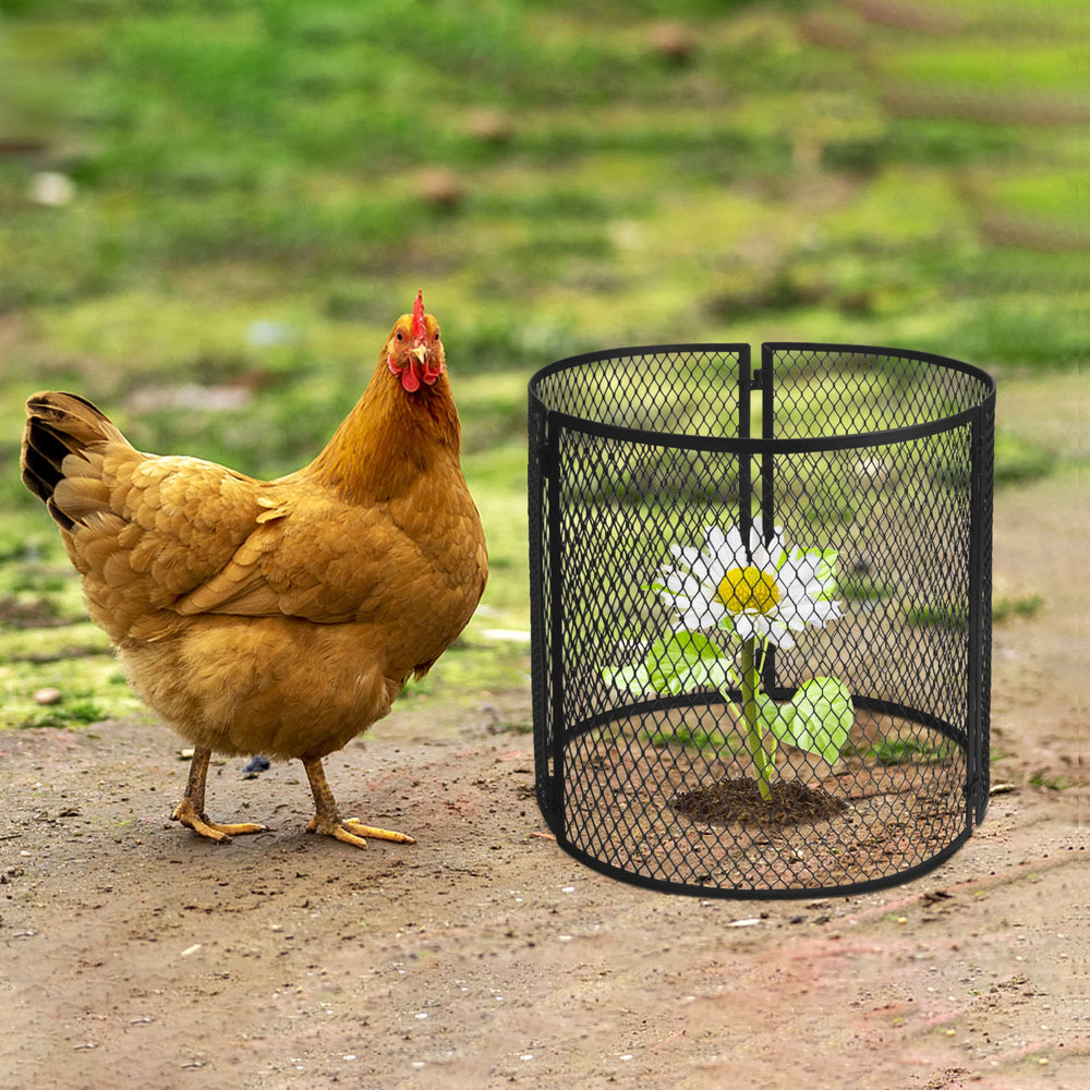 Iceyyyy cage used on patio container offering neat, modern garden protection