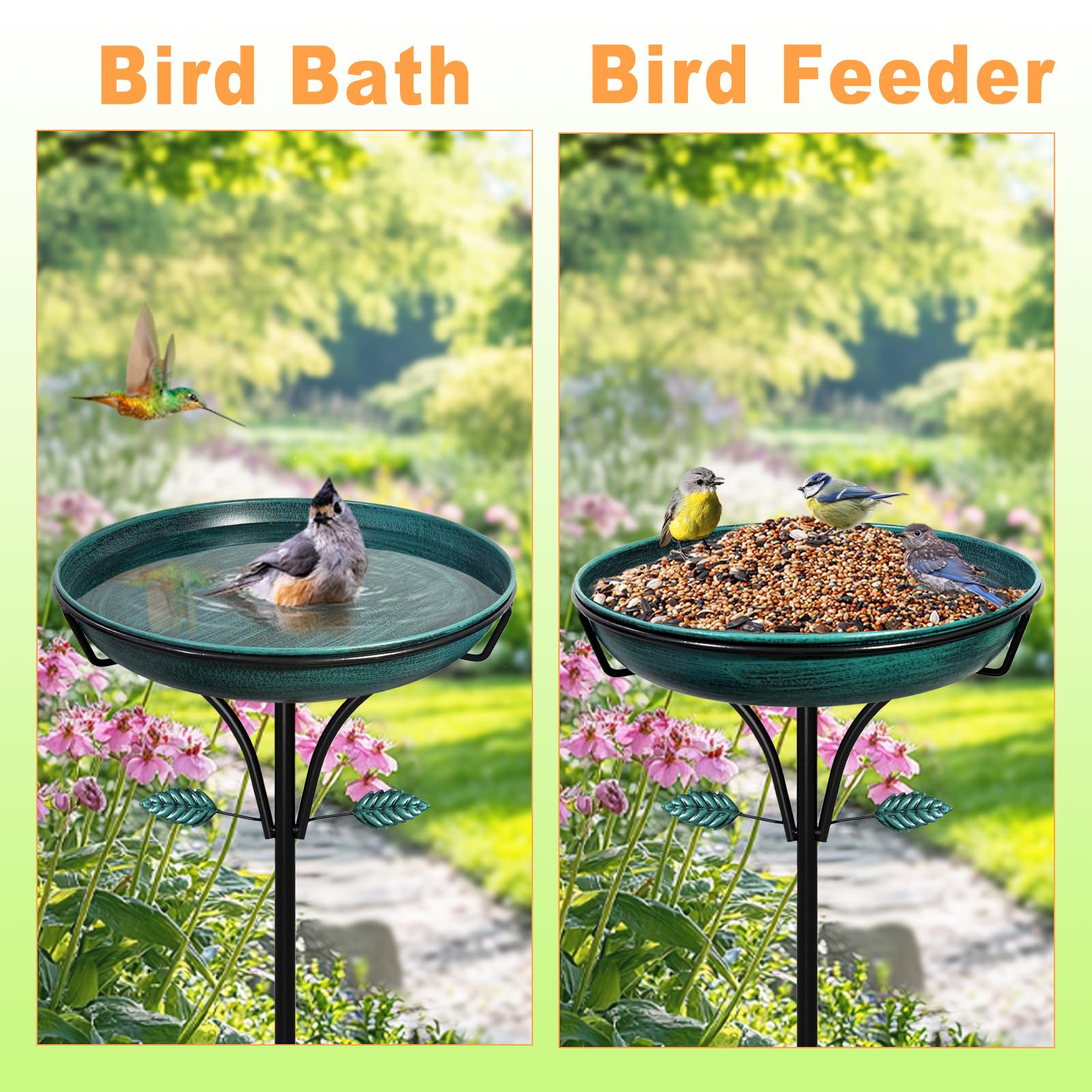 iCHKED small songbird using bath showing safe shallow water depth