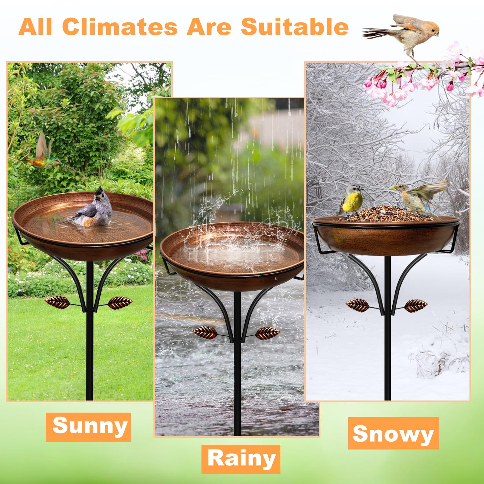 iCHKED small bird using bath in garden showing wildlife attraction benefit