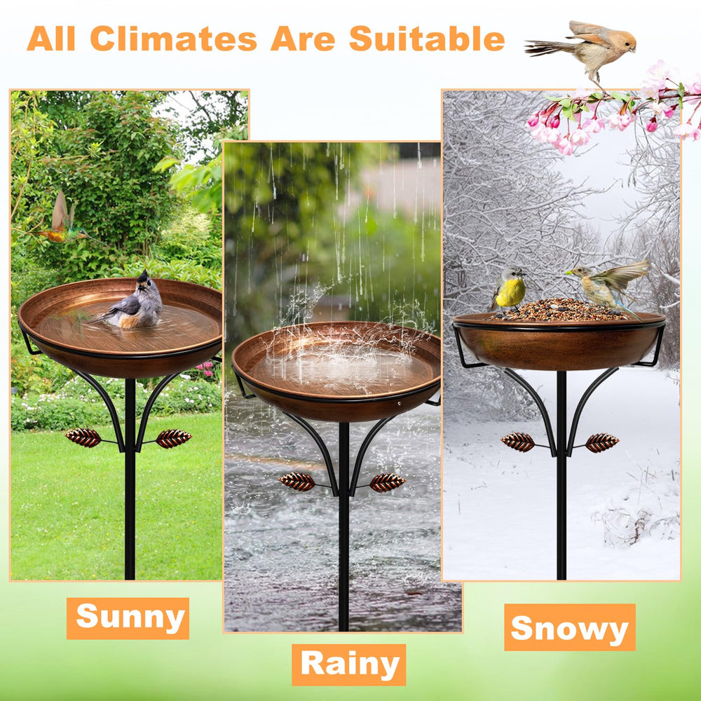 iCHKED small bird using bath in garden showing wildlife attraction benefit