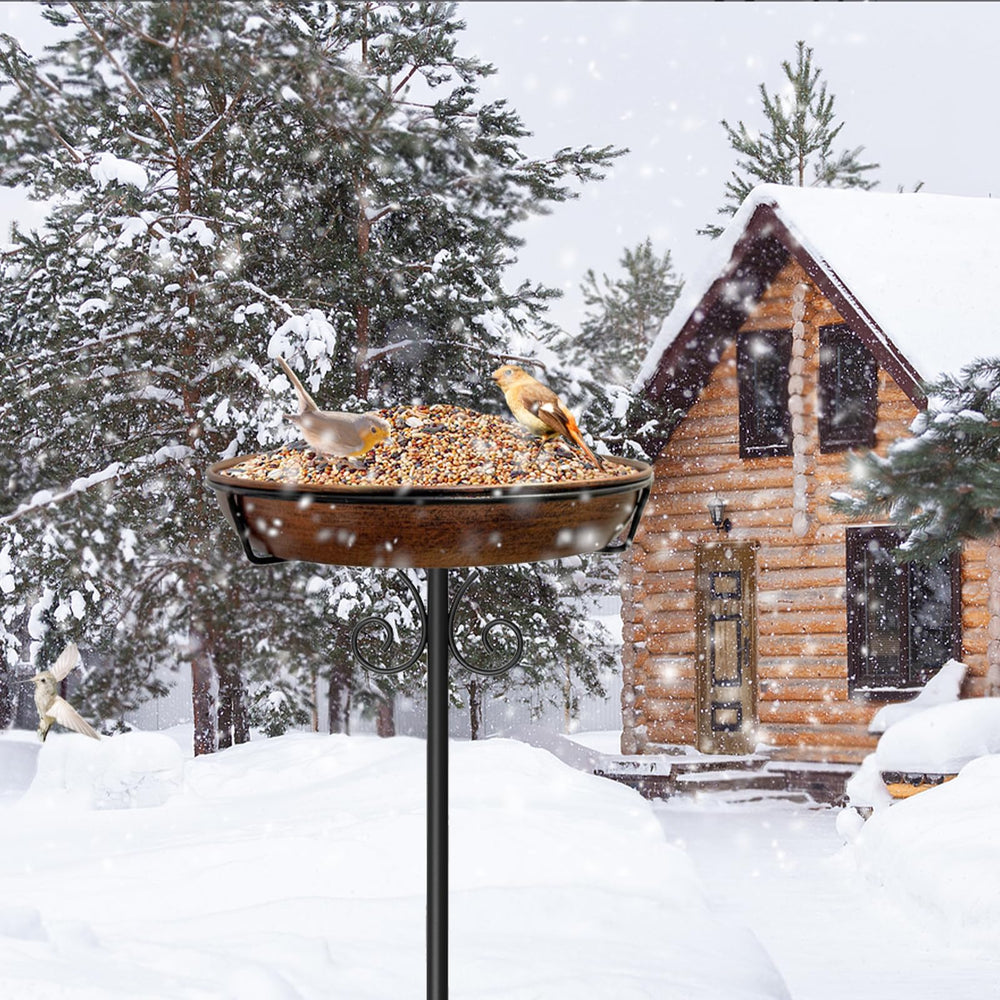 iCHKED bird bath in garden patio setting with birds nearby, adding charm and wildlife activity