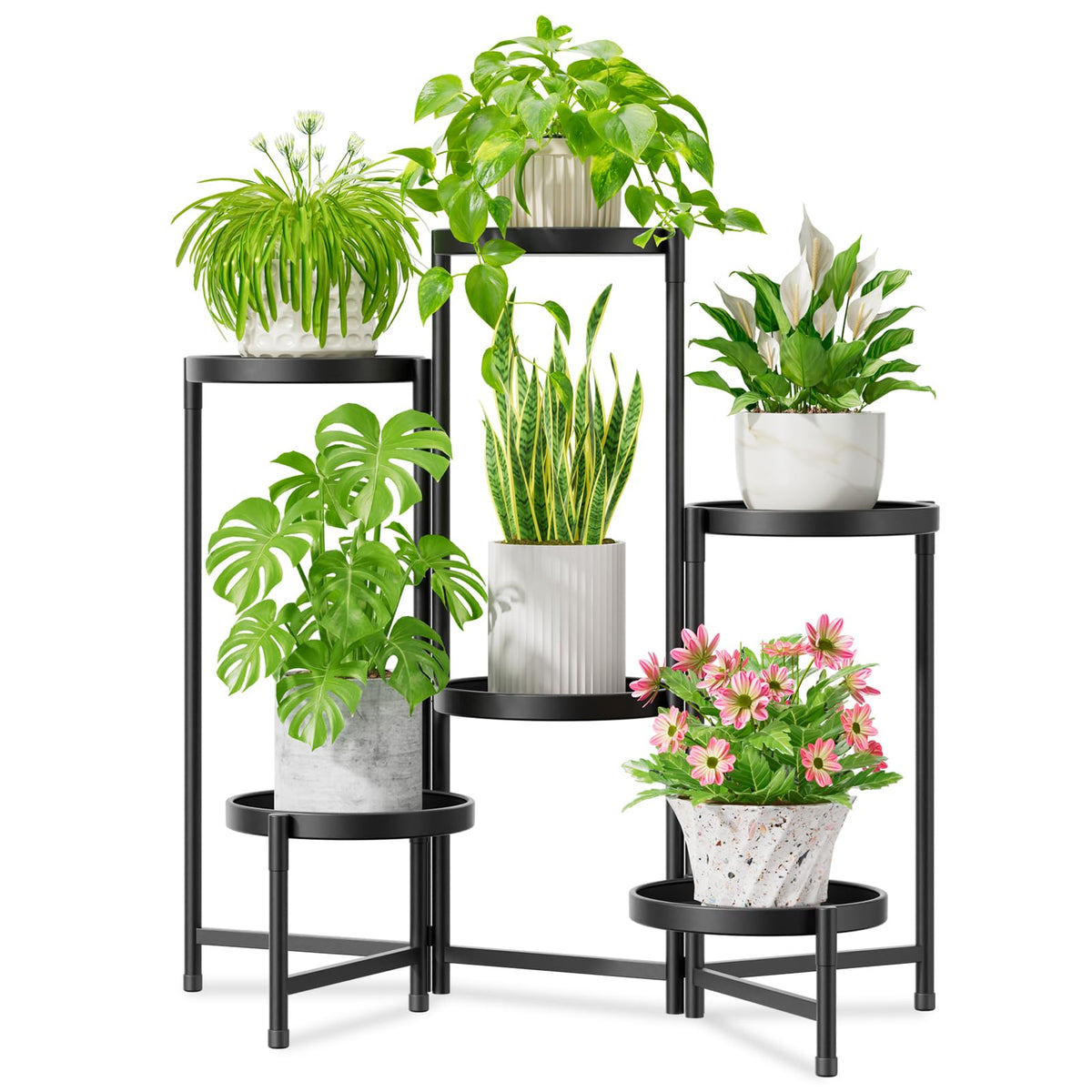 iDavosic.ly front view showing six-tier display and space saving benefit
