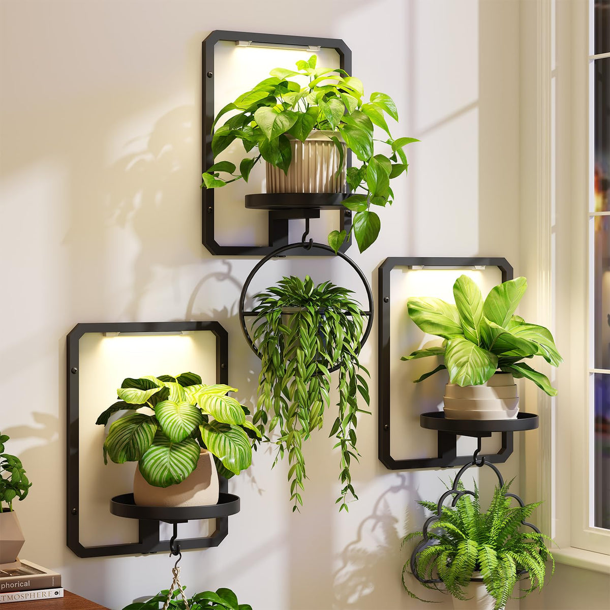 iDavosic.ly front view of three black plant frames showing neat vertical display and space savings