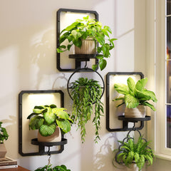 iDavosic.ly front view of three black plant frames showing neat vertical display and space savings