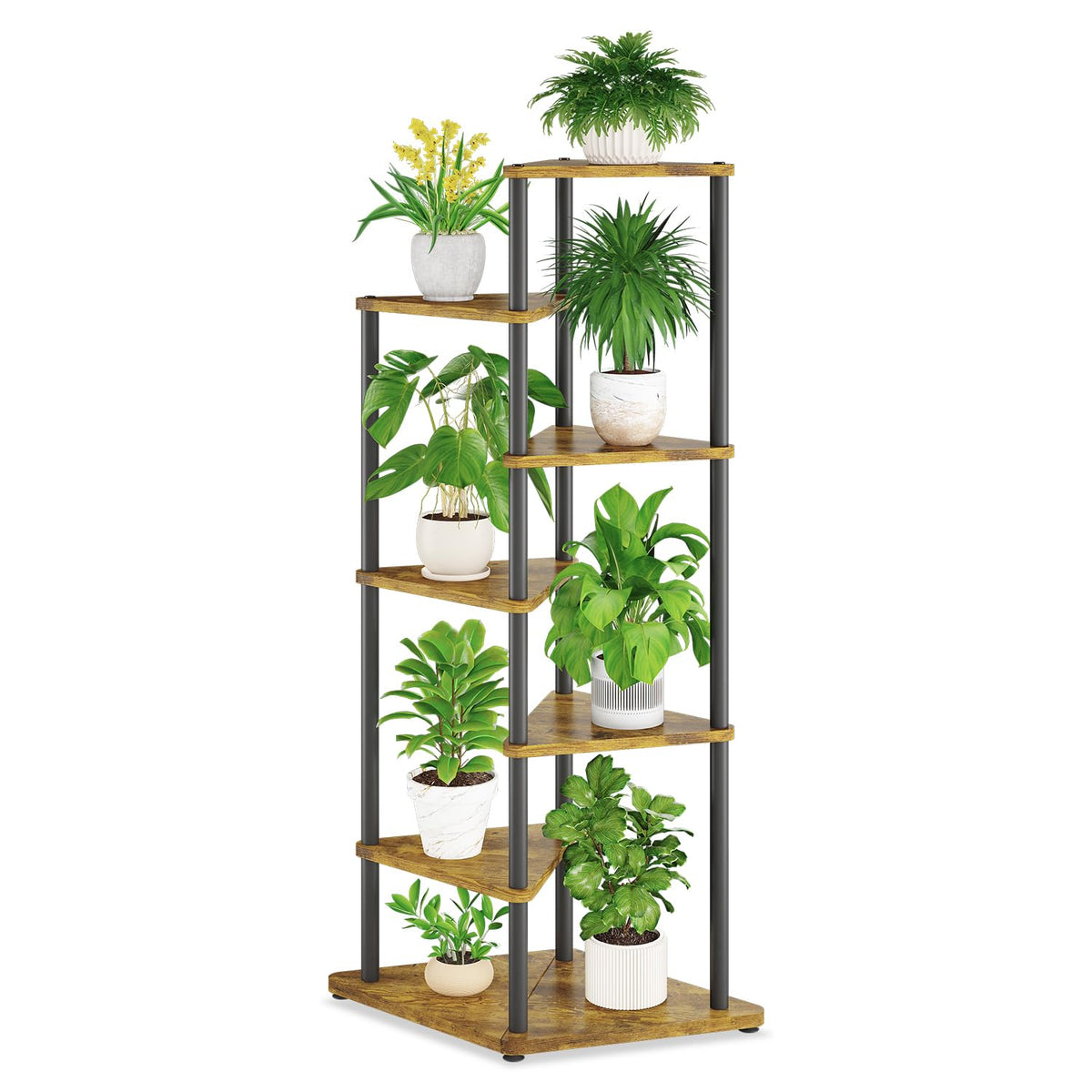 iDavosic.ly front view of full 6-tier stand showing organized plant display benefit