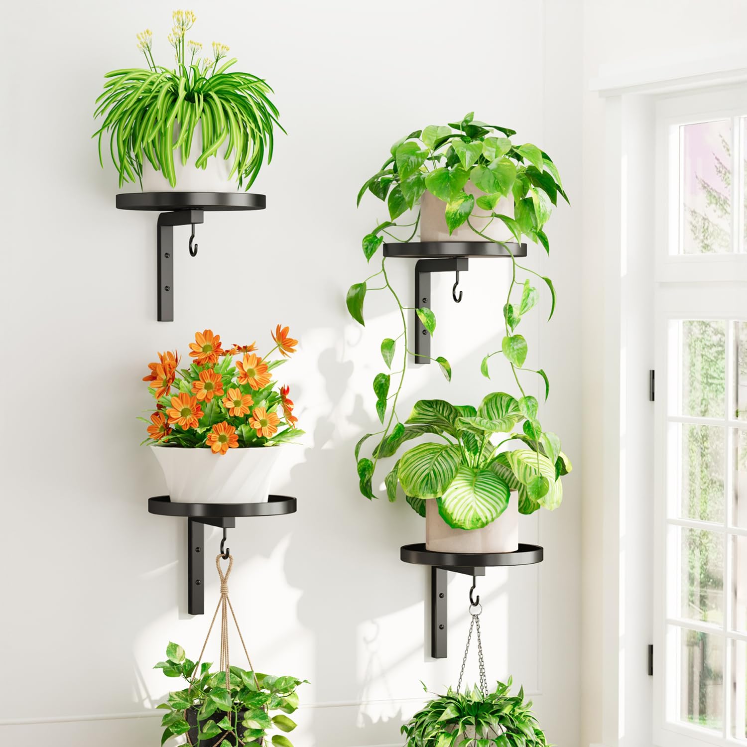 iDavosic.ly front view showing sturdy wall-mounted plant holder and neat display