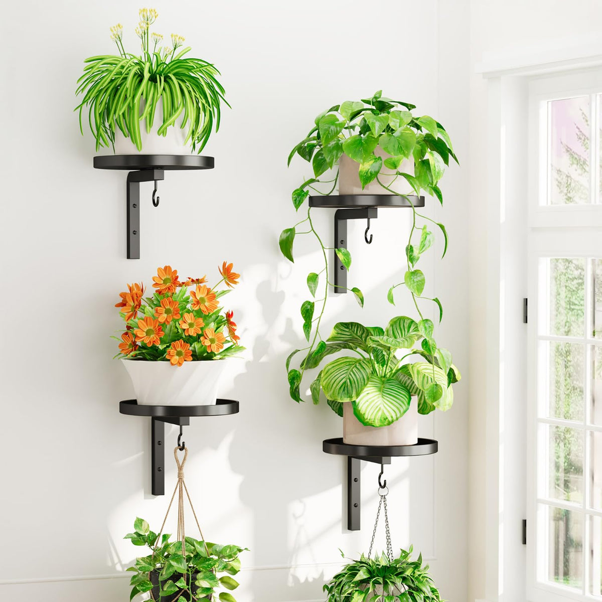 iDavosic.ly front view showing sturdy wall-mounted plant holder and neat display