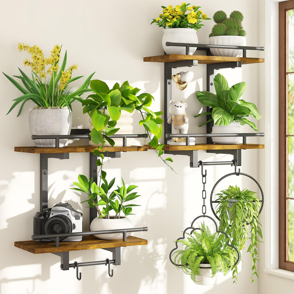 iDavosic.ly front view showing two-tier shelves and balanced display benefit