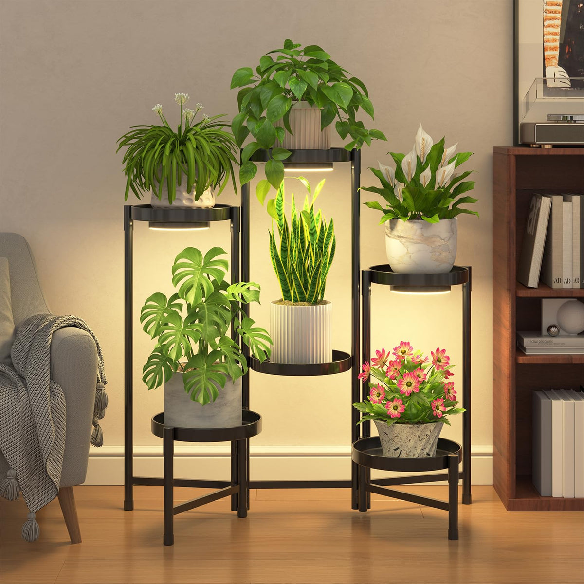 iDavosic.ly front view showing six-tier display and tidy arrangement