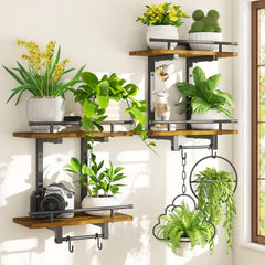 iDavosic.ly front view showing two-tier shelves and balanced display benefit