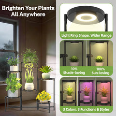 iDavosic.ly in use with varied pots demonstrating sturdy support and styling