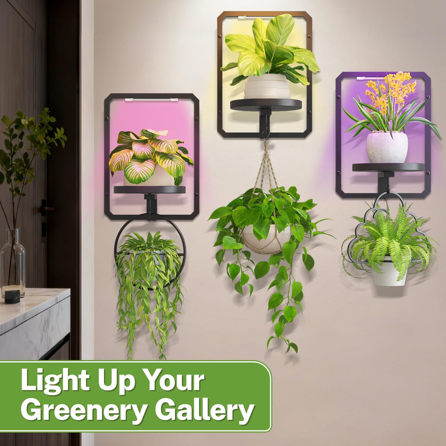 iDavosic.ly lifestyle shot in living room presenting plant art and modern decor enhancement