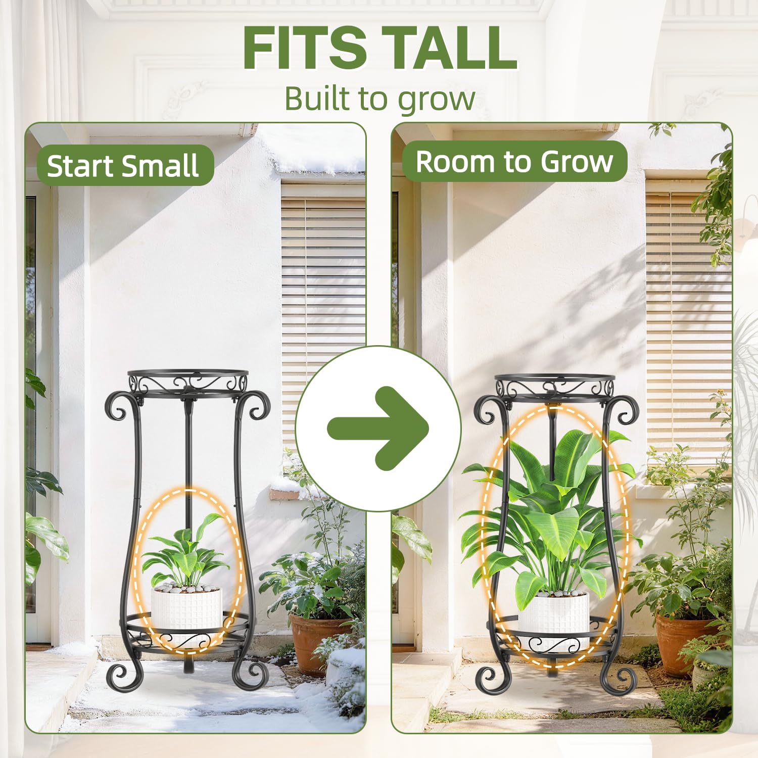 iDavosic.ly tiers with tall plant below and trailing plant above demonstrating vertical growth room