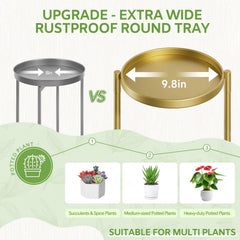 iDavosic.ly close-up of 9.8-inch tray showing generous pot fit