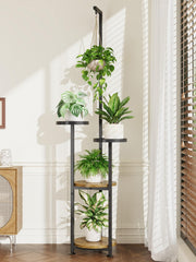 iDavosic.ly front view fully assembled showing vertical plant display and space-saving benefit