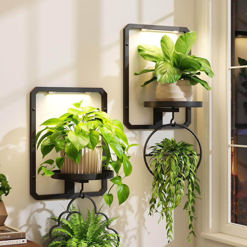iDavosic.ly front view of mounted frame set showing neat plant display and space-saving benefit