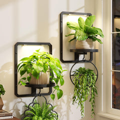 iDavosic.ly front view of mounted frame set showing neat plant display and space-saving benefit