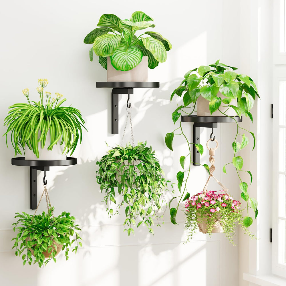 iDavosic.ly front view wall hanger showing modern black finish and strong support