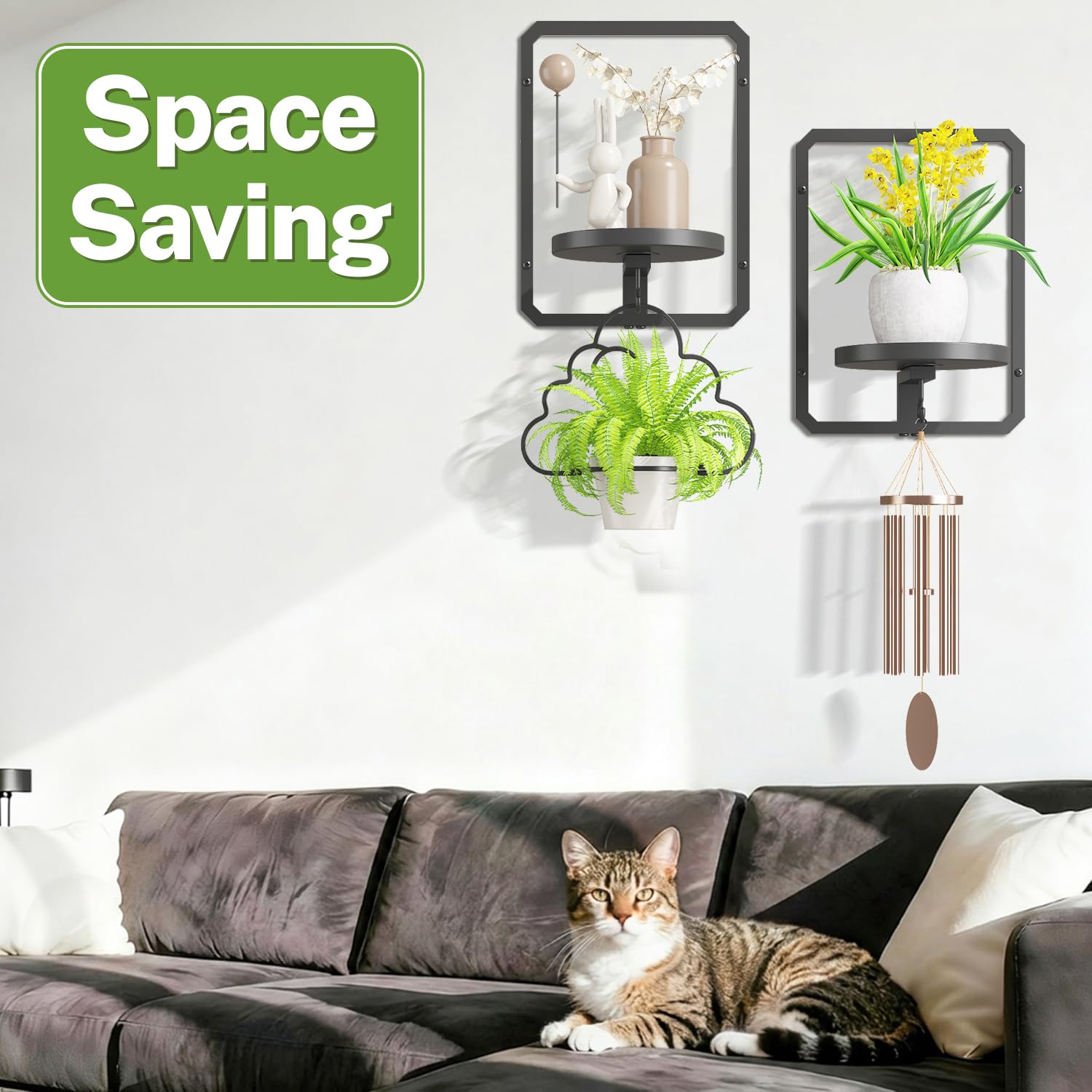 iDavosic.ly living room wall display combining frames and plants for stylish décor