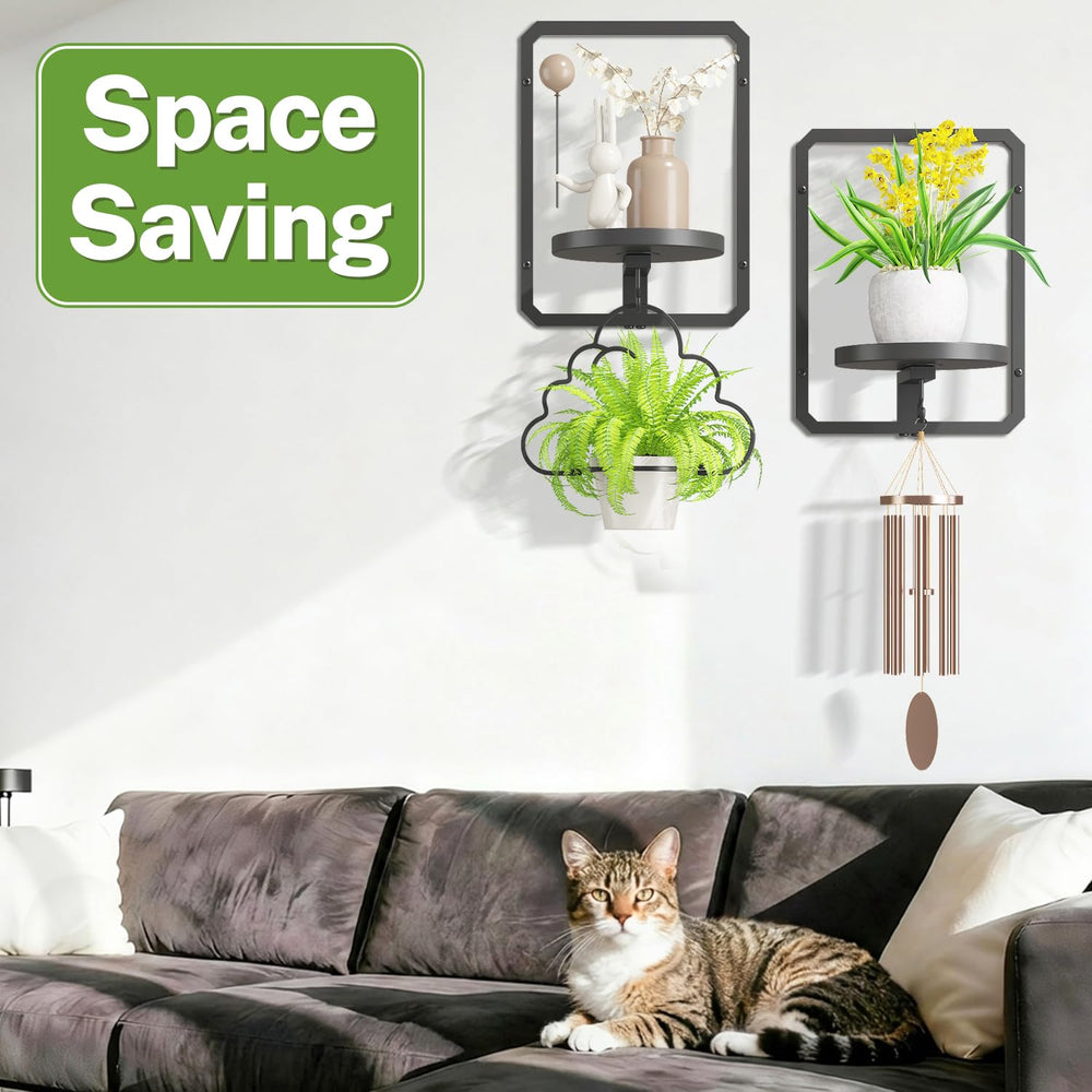 iDavosic.ly living room wall display combining frames and plants for stylish décor