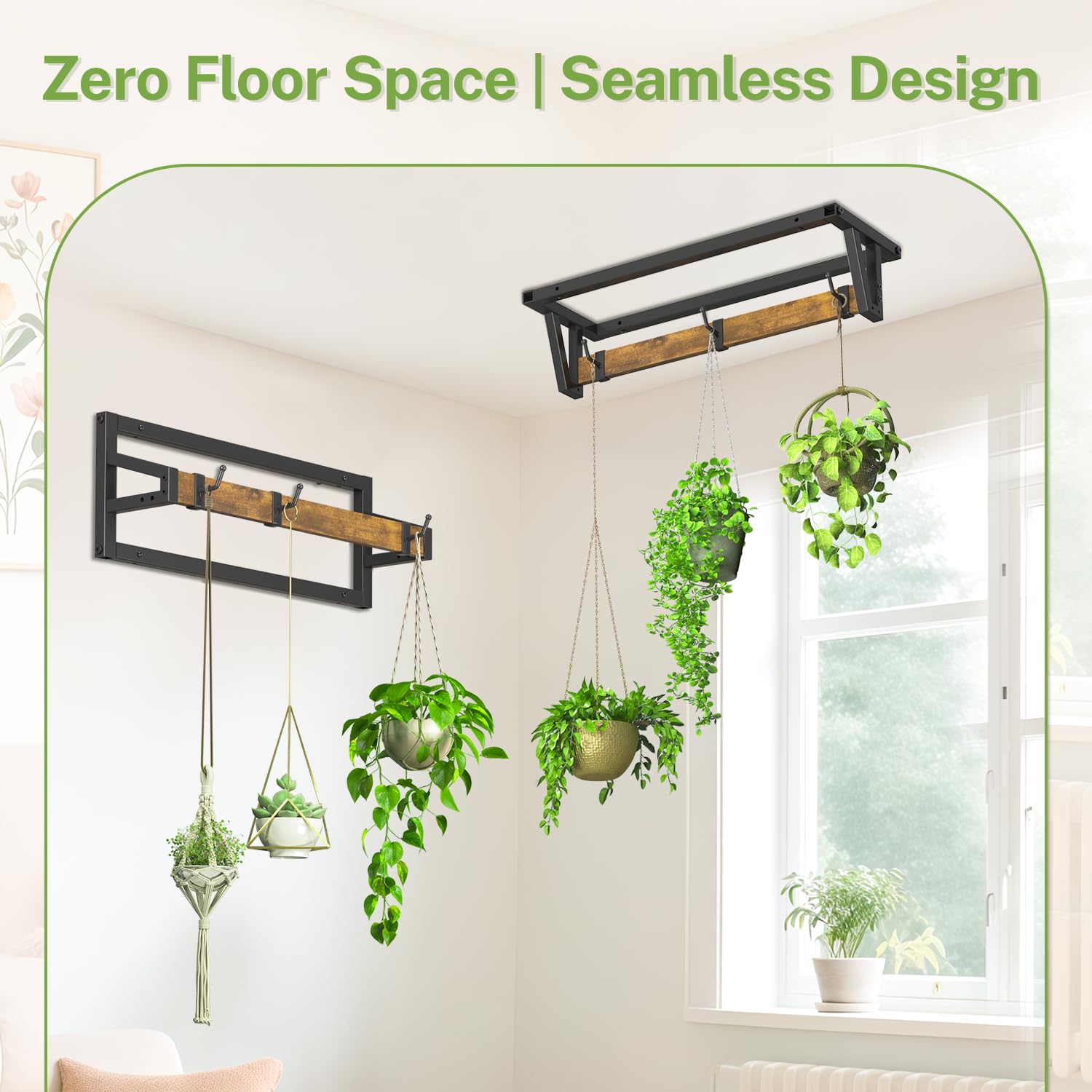 iDavosic.ly lifestyle scene with multiple hanging plants adding visual warmth