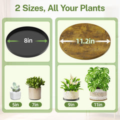 iDavosic.ly top hook detail holding a trailing plant for cascading greenery