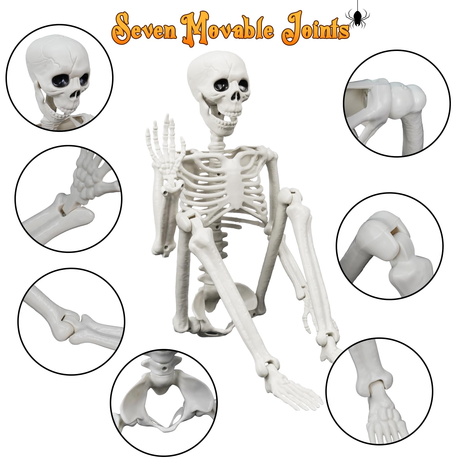 IDEAALS skeleton next to a boot for size comparison showing realistic scale benefit