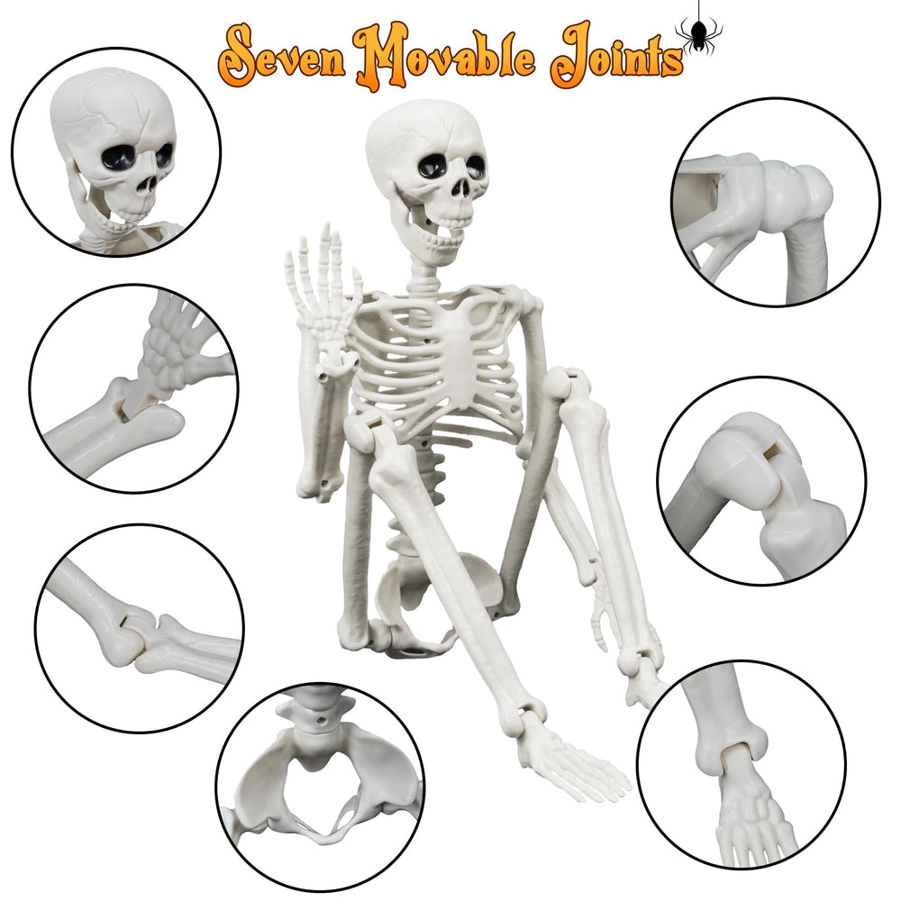 IDEAALS skeleton next to a boot for size comparison showing realistic scale benefit