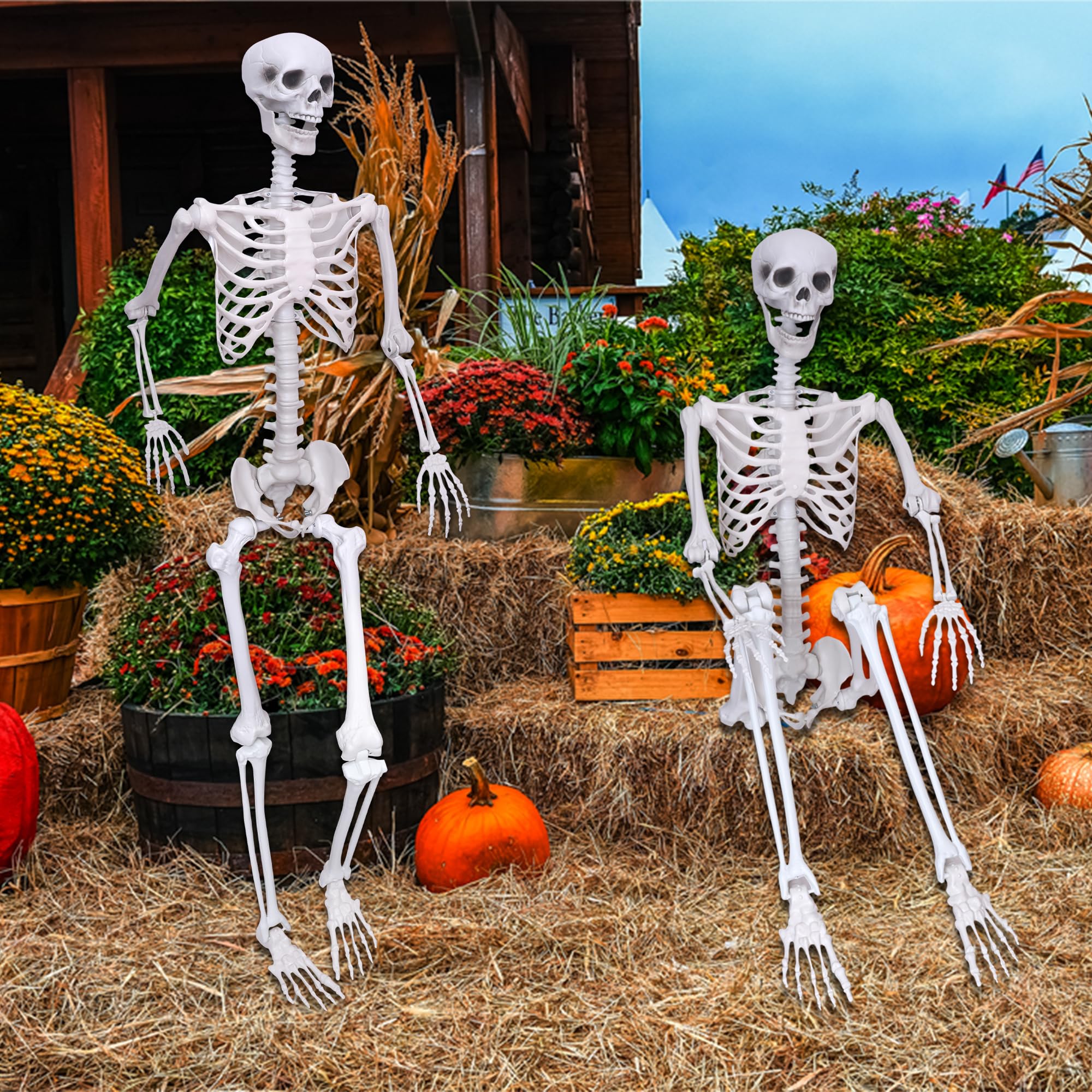 IDMOP disassembled skeleton packed showing compact storage and seasonal convenience