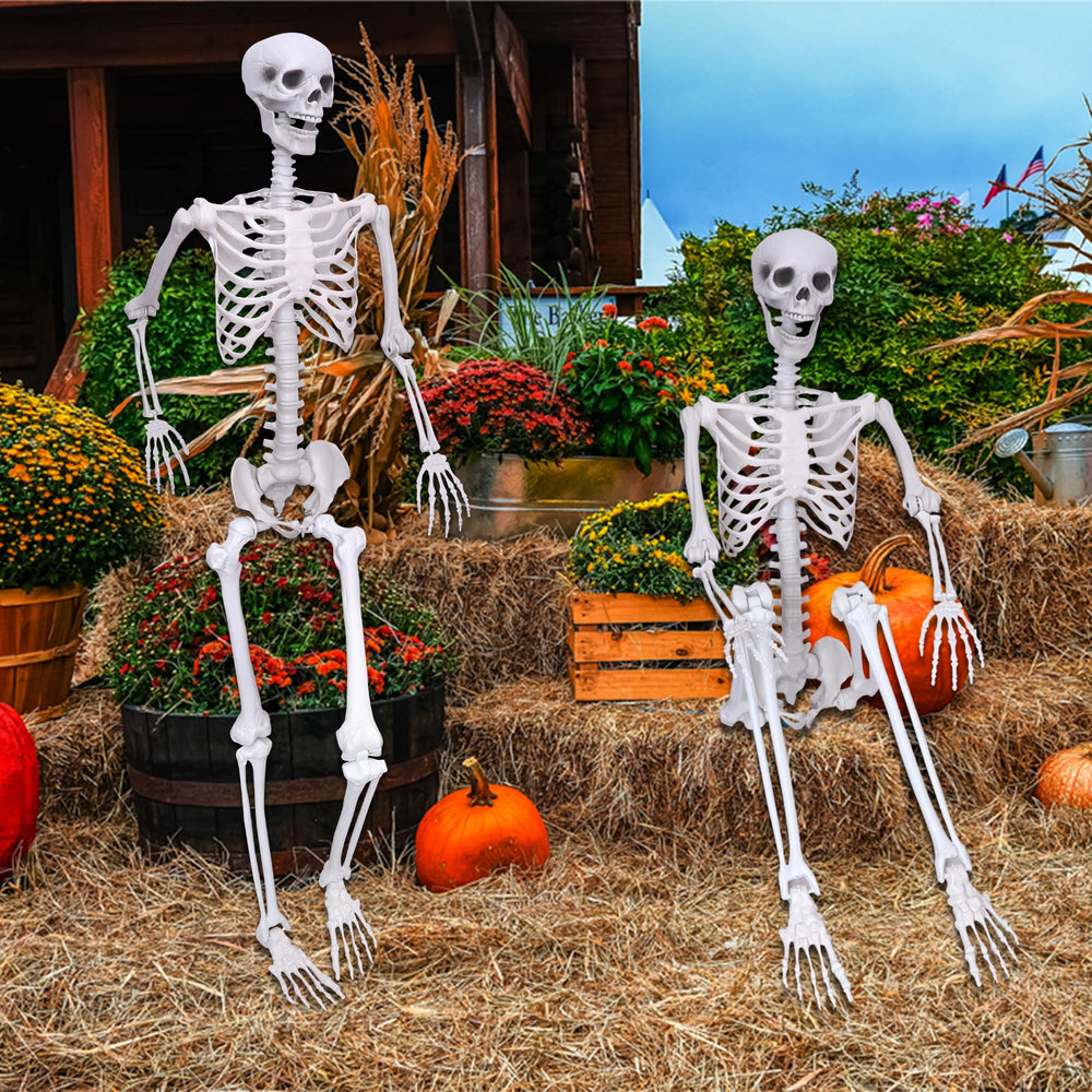 IDMOP disassembled skeleton packed showing compact storage and seasonal convenience