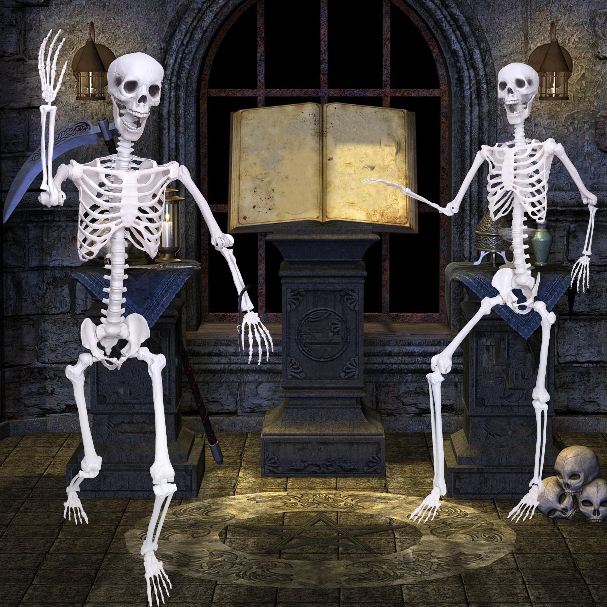 IDMOP skeleton beside a chair demonstrating 5.9ft scale and clear height reference