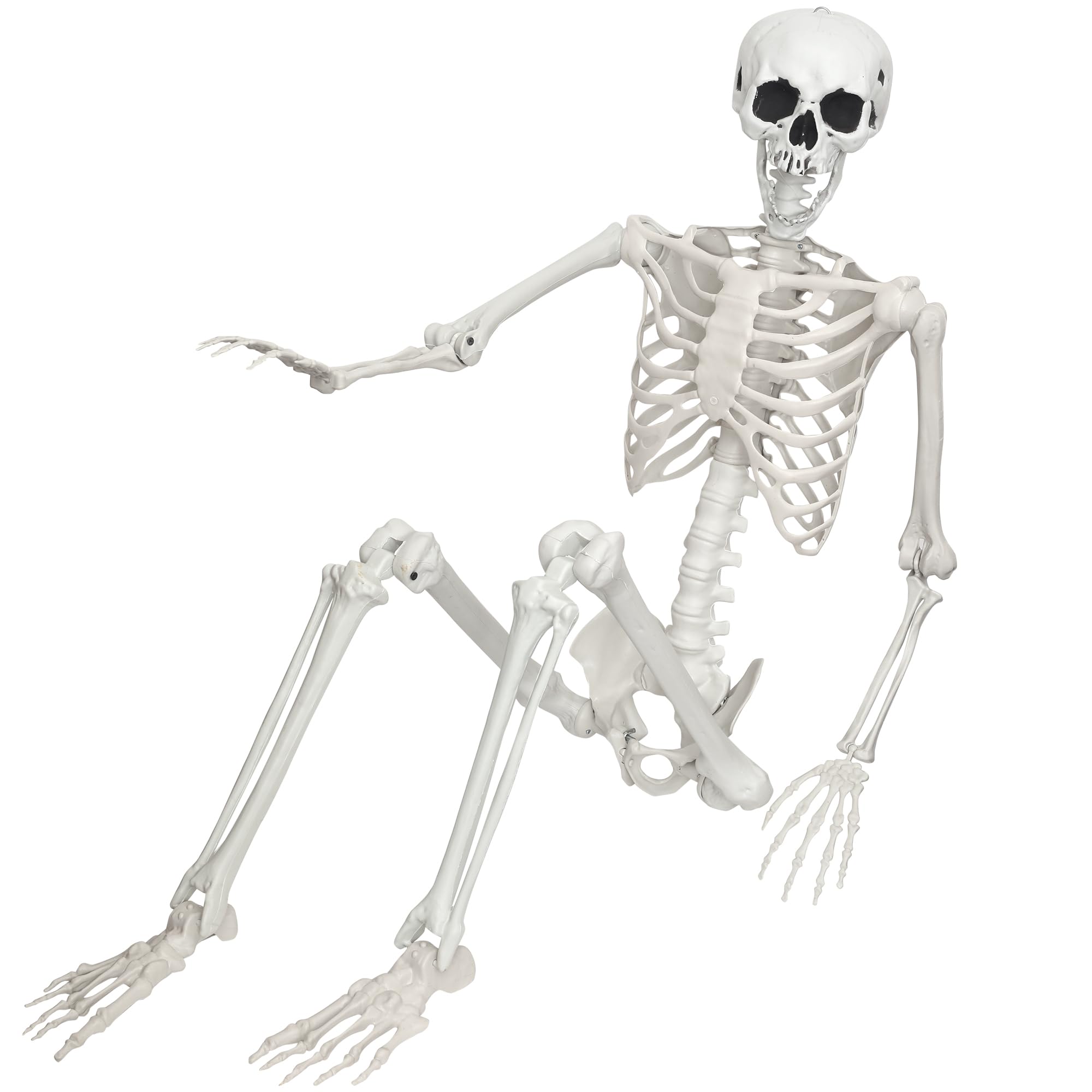 IDMOP skeleton front view showing realistic bones and lifelike pose for displays