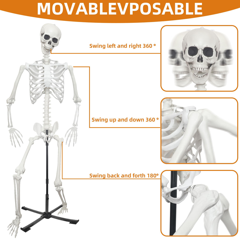 IDMOP skeleton hanging from string for elevated, dramatic displays