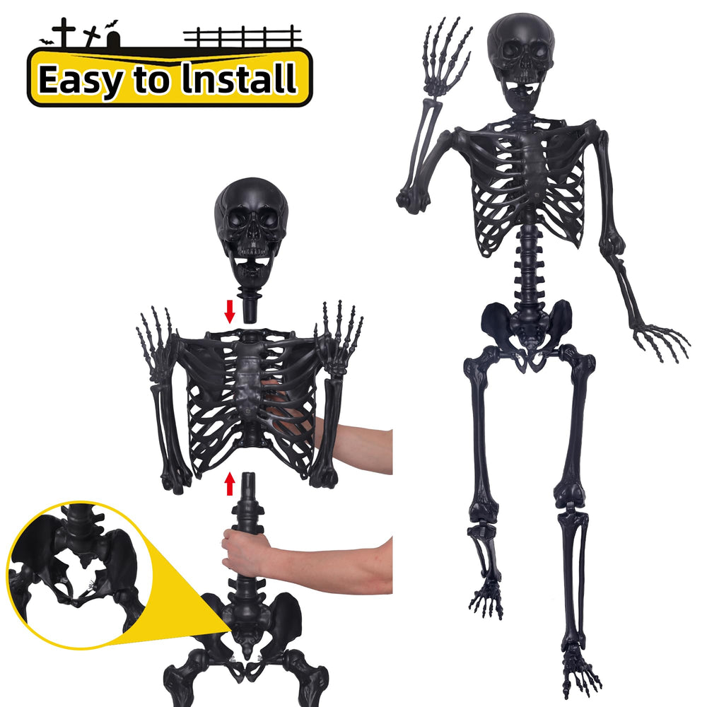 IDMOP skeleton hanging in garden showing outdoor display versatility
