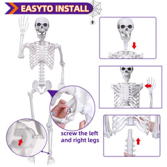 IDMOP skeleton posed in a chair demonstrating lifelike seating display benefit
