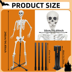 IDMOP skeleton posed on metal stand demonstrating stable support