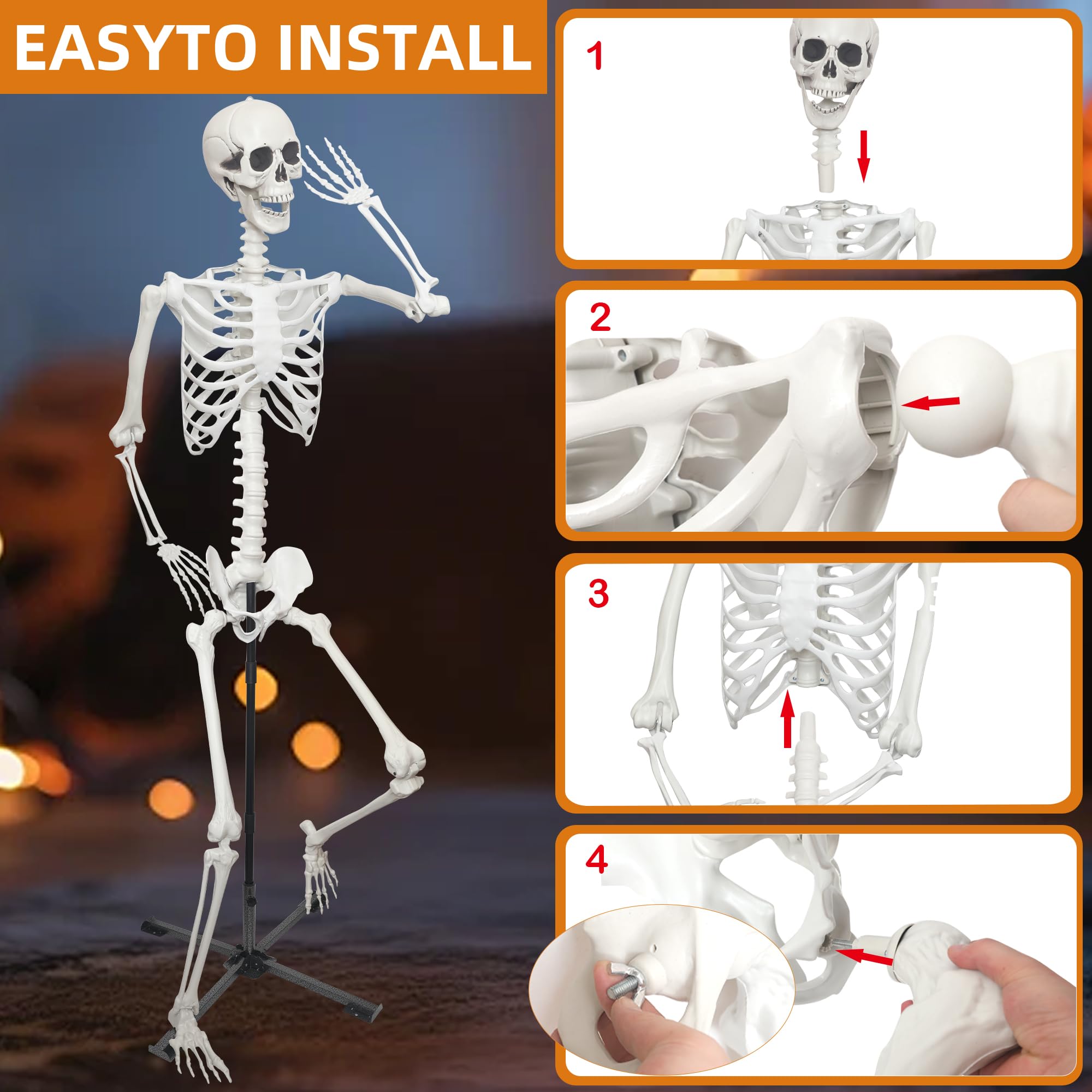 IDMOP skeleton next to person for size comparison and visual scale