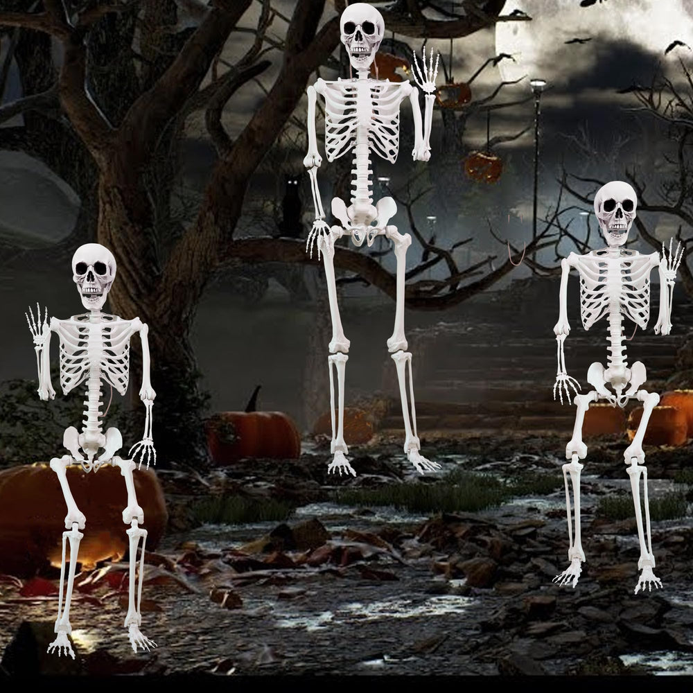 IDMOP skeleton next to chair for scale to show 5.4 ft human-size benefit