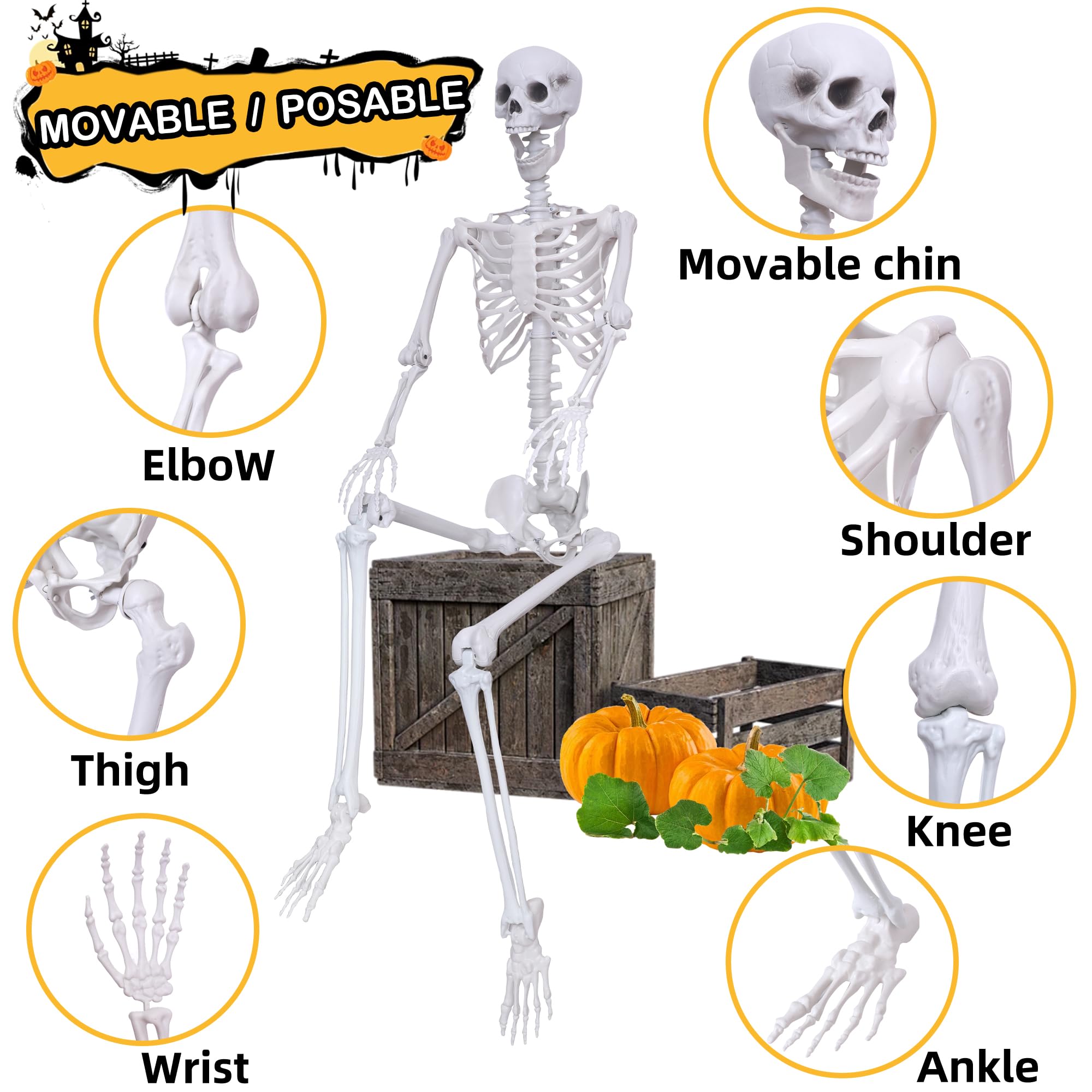 IDMOP assembled skeleton side view highlighting full-body proportions