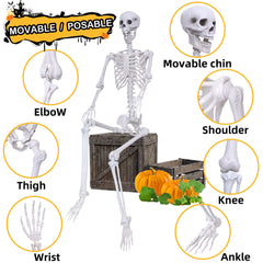 IDMOP assembled skeleton side view highlighting full-body proportions