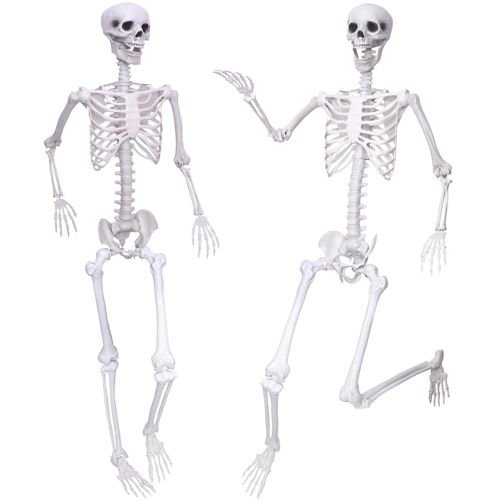 IDMOP front view of two 5.9ft skeletons showing realistic pose and curb appeal