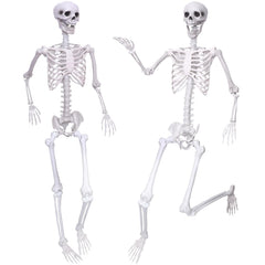 IDMOP front view of two 5.9ft skeletons showing realistic pose and curb appeal