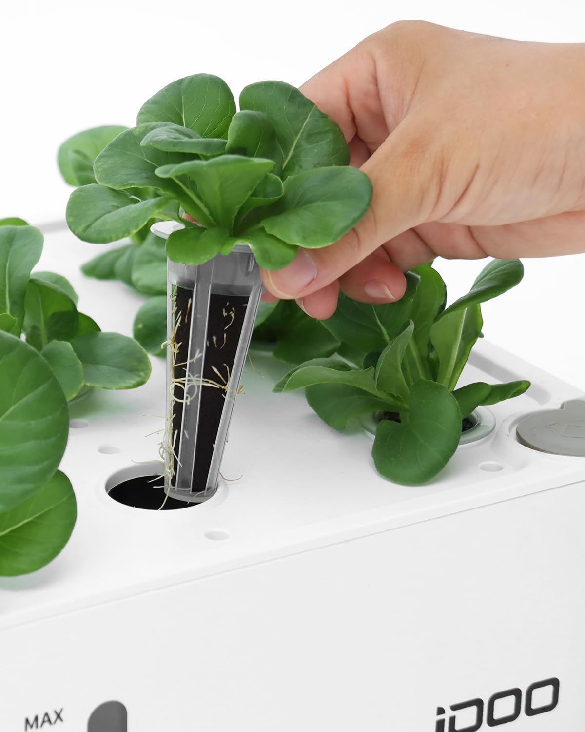 iDOO plant food vials and pod labels displayed for easy dosing and tracking