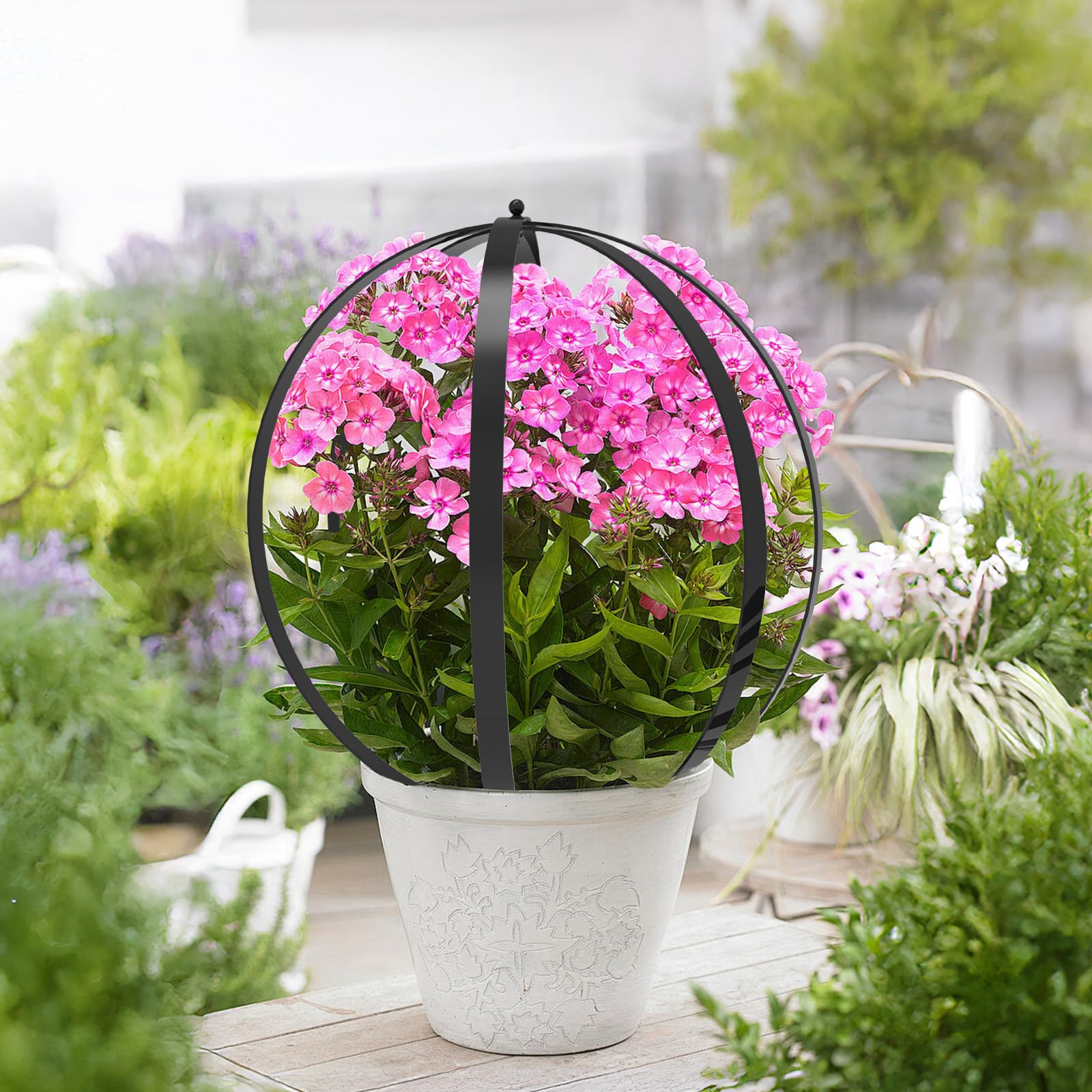 IDUNSEED two trellises styled on a patio creating symmetrical garden focal points