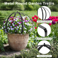 IDUNSEED trellis supporting climbing ivy demonstrating plant training benefit